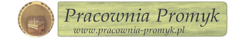 Pracownia Promyk - banner